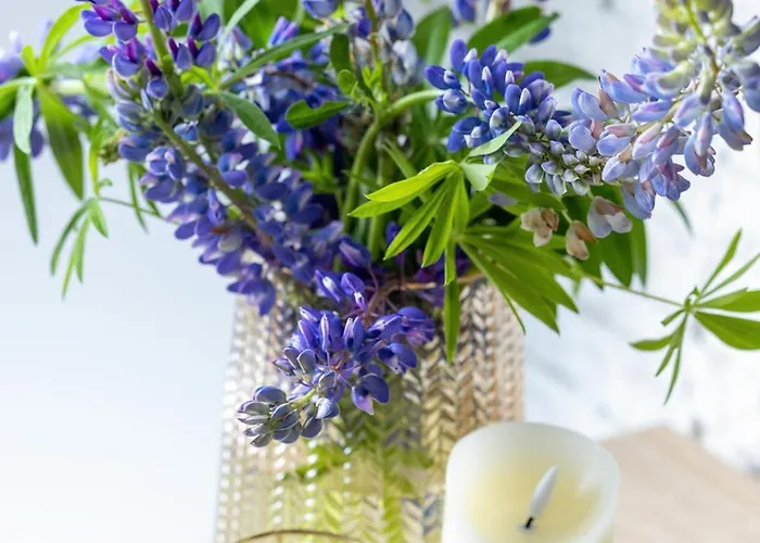 C23 - 50m Od Plazy Pobierowo