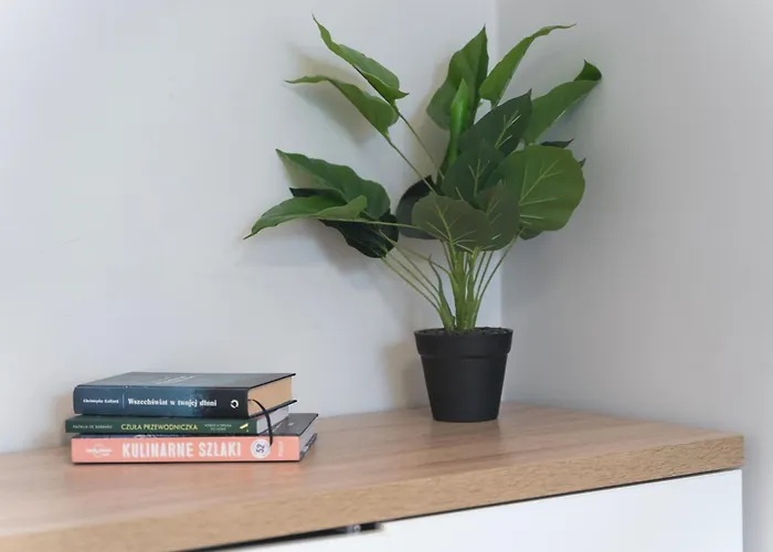 C23 - 50m Od Plazy Apartment *